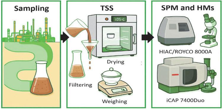 General scheme of sampling, sample preparation, and measurements
Source: compiled by the authors using AI graphical tools.