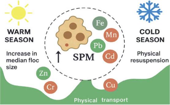 Complex pollution characteristics associated with suspended particulate matter and heavy metals
Source: compiled by the authors using AI graphical tools.