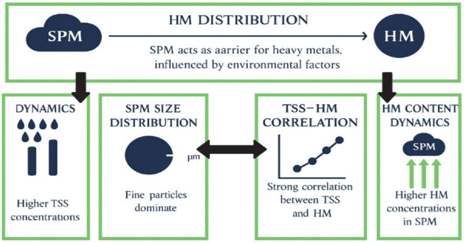 Assessment of the distribution of heavy metals (HM) in dissolved and particulate phases
Source: compiled by the authors using AI graphical tools.