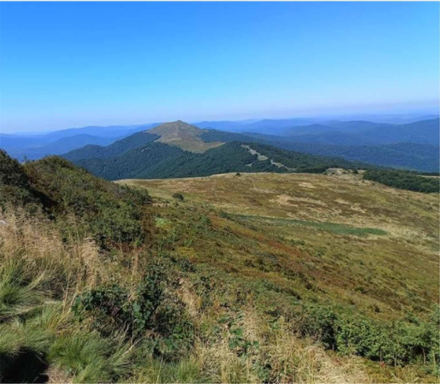 Polonyna Wetlińska, August 2024, source: own work