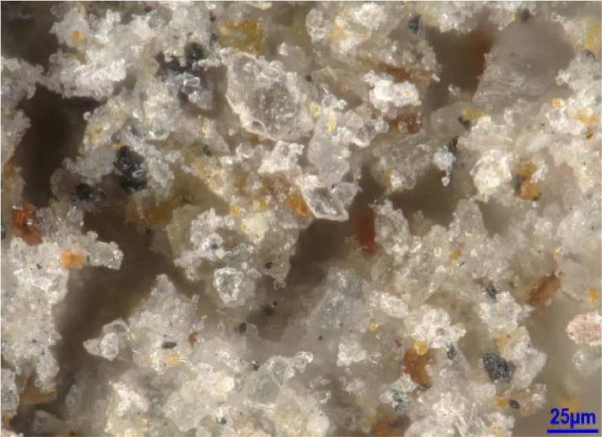 Digital microscope image of the tested basalt dust (1000x magnification)