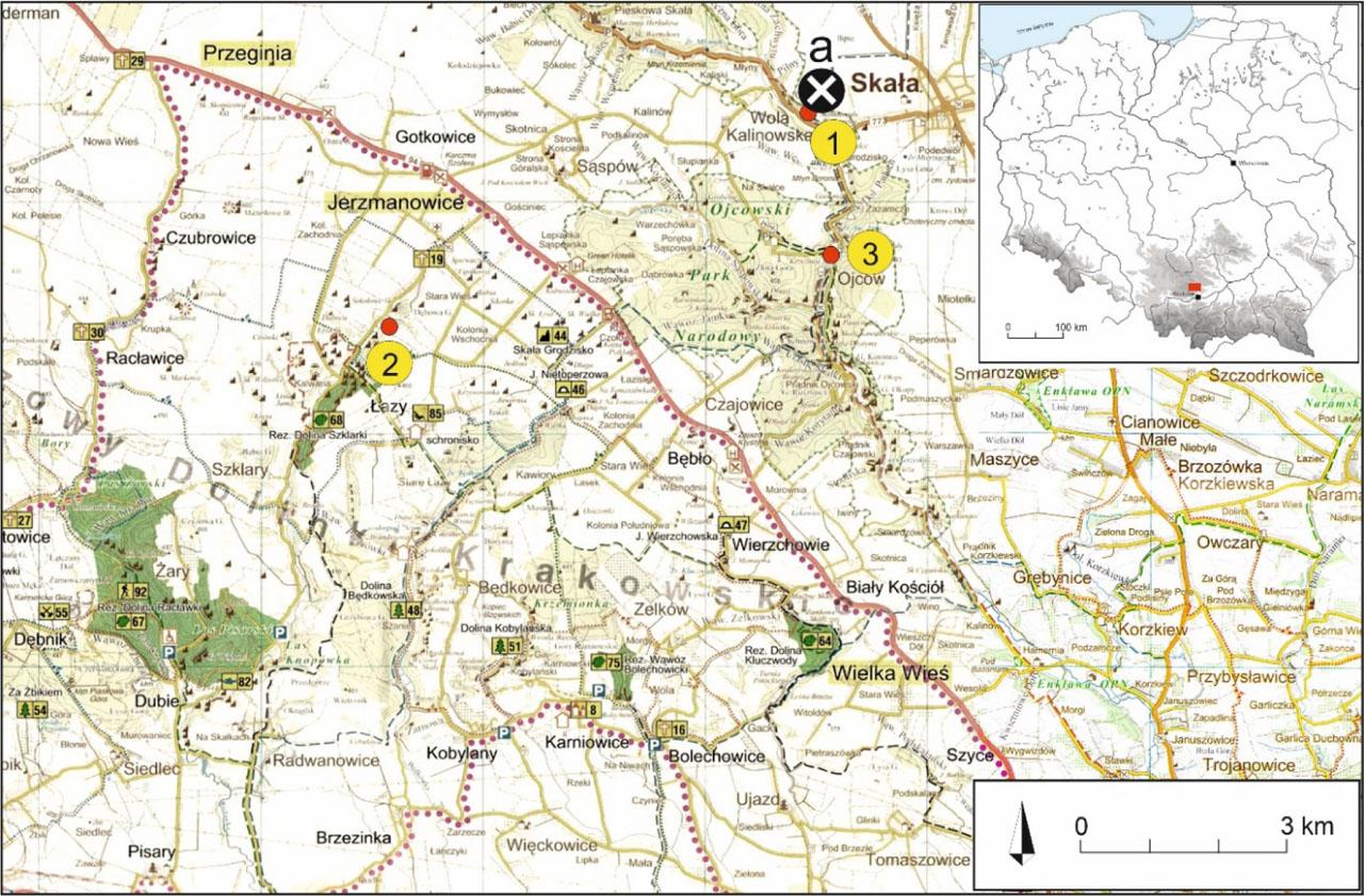 Location of sampling sites. 1 – Grodzisko near Skała, 2 – Jerzmanowice, 3 – Ojców, a – source clay deposits.