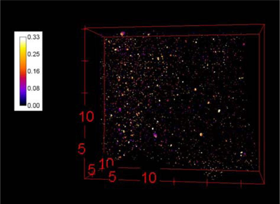 Segmented image emphasizing the inclusions of sample JER_135 (in mm).
