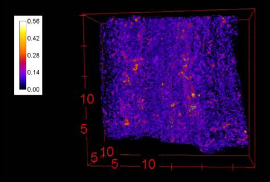 Segmented image emphasizing the voids of sample JER_135 (in mm).