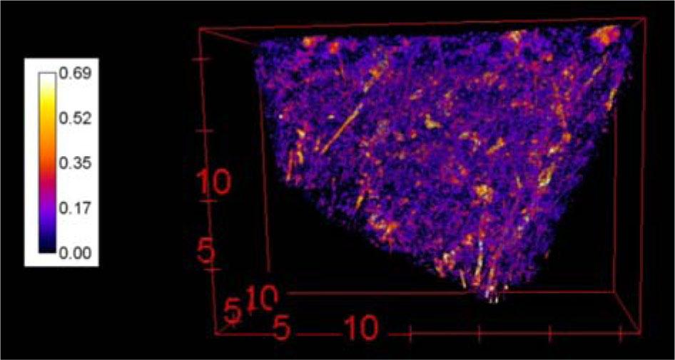 Segmented image emphasizing the voids of sample OJC_9668 (in mm).