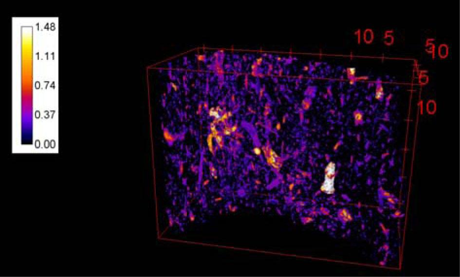 Segmented image emphasizing the voids of sample OJC_273 (in mm).