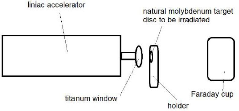 Irradiation setup scheme.