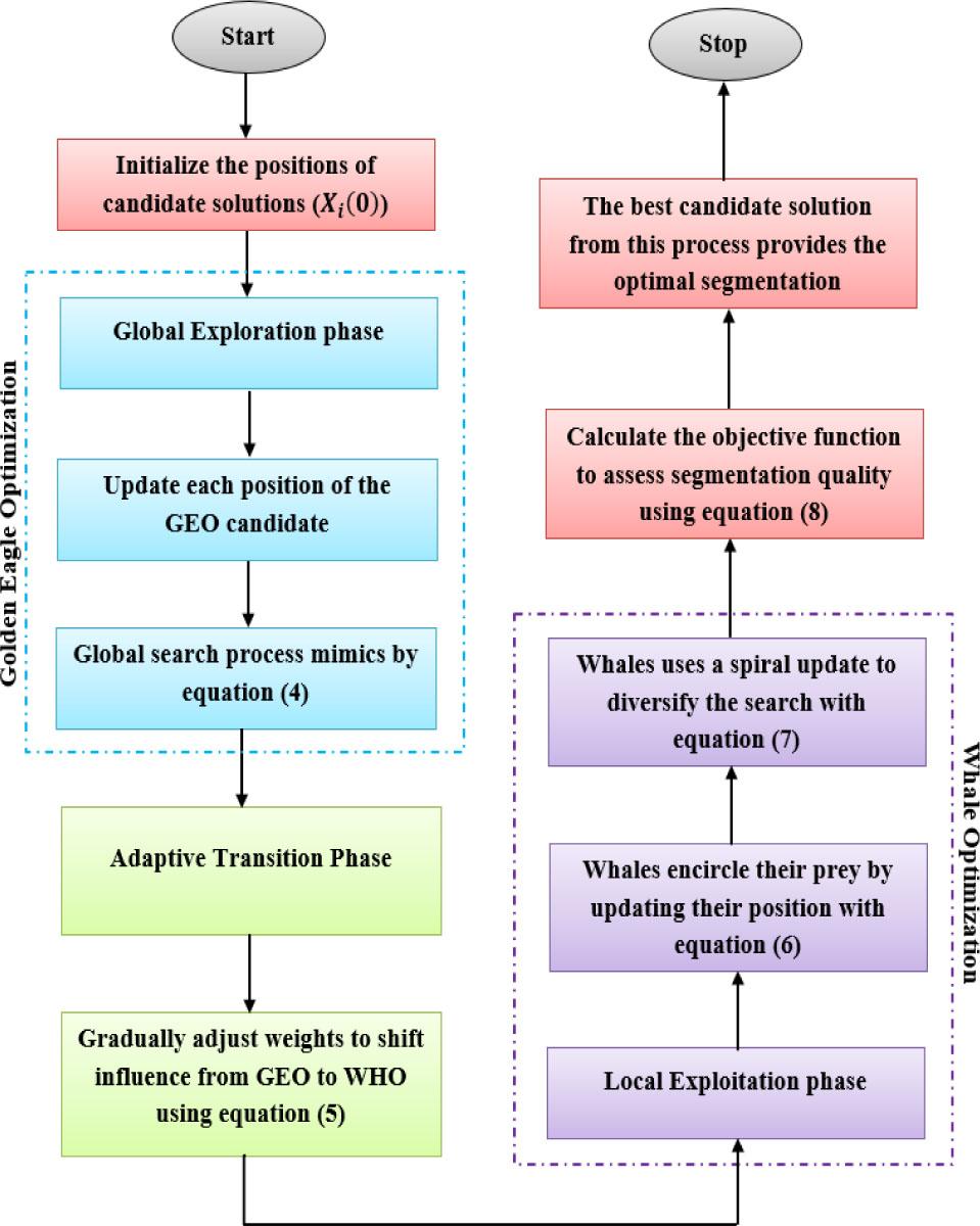 Flowchart of the proposed GWO algorithm.