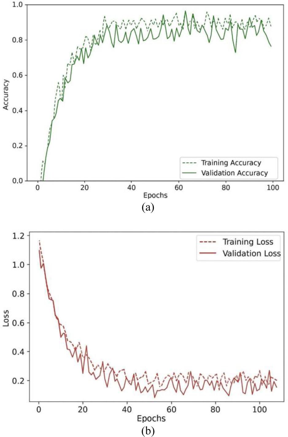 Training and testing curve of the proposed TRI-BCC model (a) Accuracy curve; (b) Loss curve.