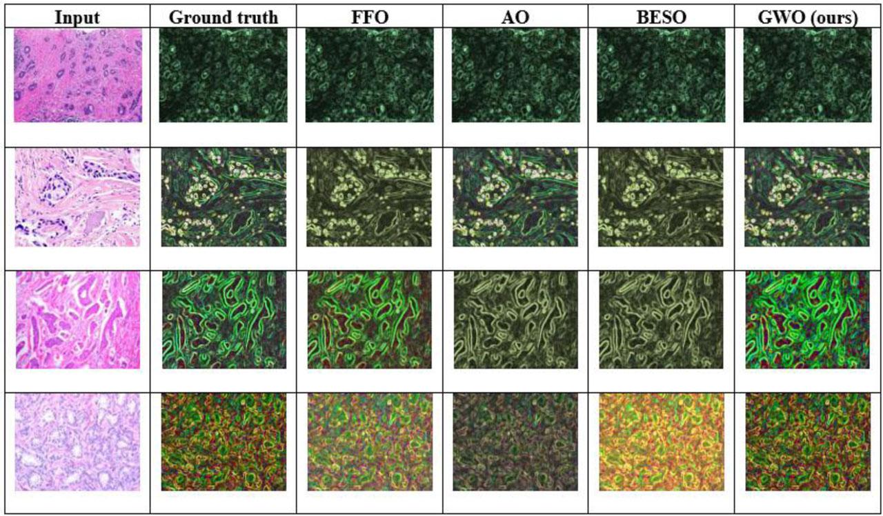 Visual comparison of different optimization algorithms for segmentation.