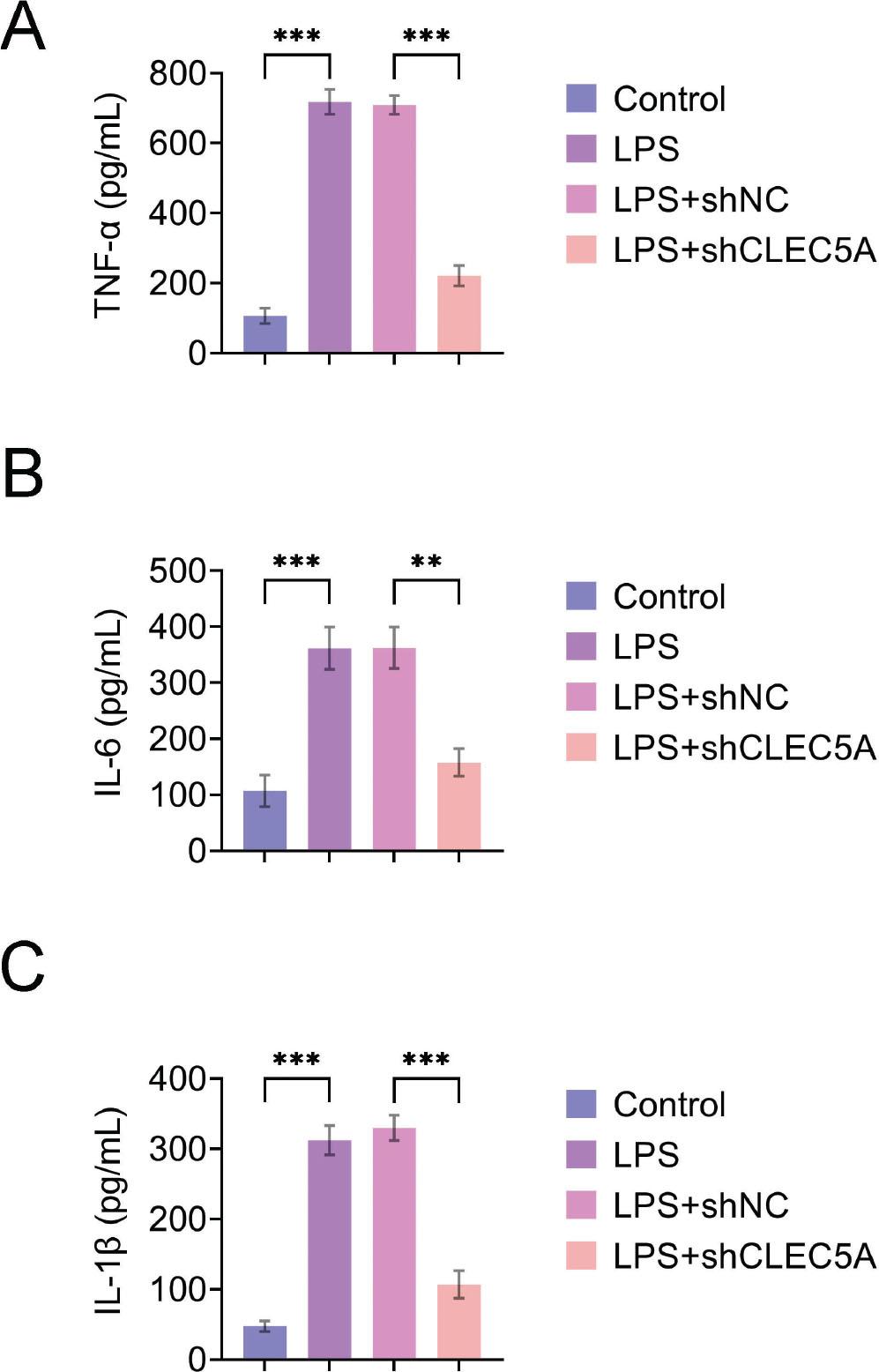 CLEC5A knockdown improves HK-2 cells from LPS-induced inflammation. ELISA detects TNF-α (A), IL-6 (B), IL-1β, and (C) levels in HK-2 cells culture fluid. Values are presented as mean ± SD. **p < 0.01, ***p < 0.001. n = 3. CLEC5A, C-type lectin domain family 5 member A; ELISA, enzyme-linked immunosorbent assay; IL, interleukin; LPS, lipopolysaccharide; SD, shNC, TNF-α, tumor necrosis factor-α.