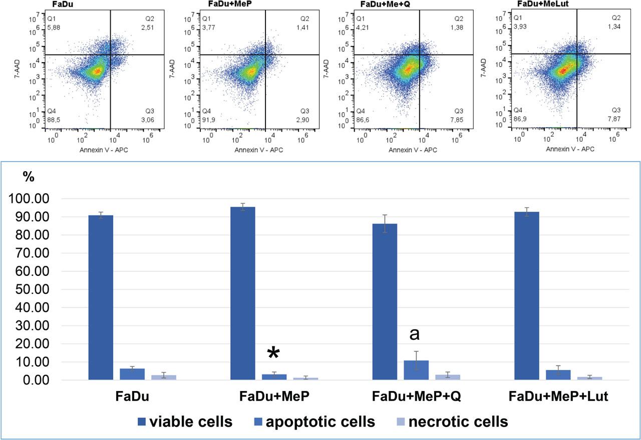 Apoptosis in FaDu cells. Representative flow cytometry (FACS) analysis via Annexin V-FITC/PI staining for 48 h is presented. The bar graphs present the percentage of apoptotic cells as a sum of Q1 (late apoptosis) and Q3 quadrants (early apoptosis); necrotic cells as Q2 quadrants and viable cells as Q4 quadrants. Mean values from three independent experiments ± SD are presented. The bar graphs present the percentage of apoptotic cells. *Difference with cells untreated with MeP; adifference with cells treated with MeP + Q (p < 0.05). MeP, Methylparaben; SD, standard deviation.
