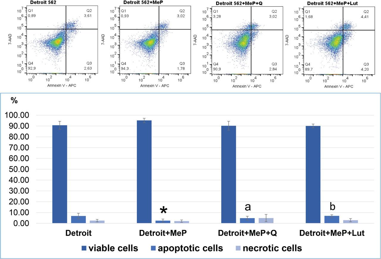 Apoptosis in Detroit 562 cells. Representative flow cytometry (FACS) analysis via Annexin V-FITC/PI staining for 48 h is presented. The bar graphs present the percentage of apoptotic cells as a sum of Q1 (late apoptosis) and Q3 quadrants (early apoptosis); necrotic cells as Q2 quadrants and viable cells as Q4 quadrants. Mean values from three independent experiments ± SD are presented. The bar graphs present the percentage of apoptotic cells. *Difference with cells untreated with MeP (p < 0.05); adifference from cells treated with MeP + Q (p < 0.05); bdifference from cells treated with MeP + Lut (p < 0.05). MeP, Methylparaben; SD, standard deviation.
