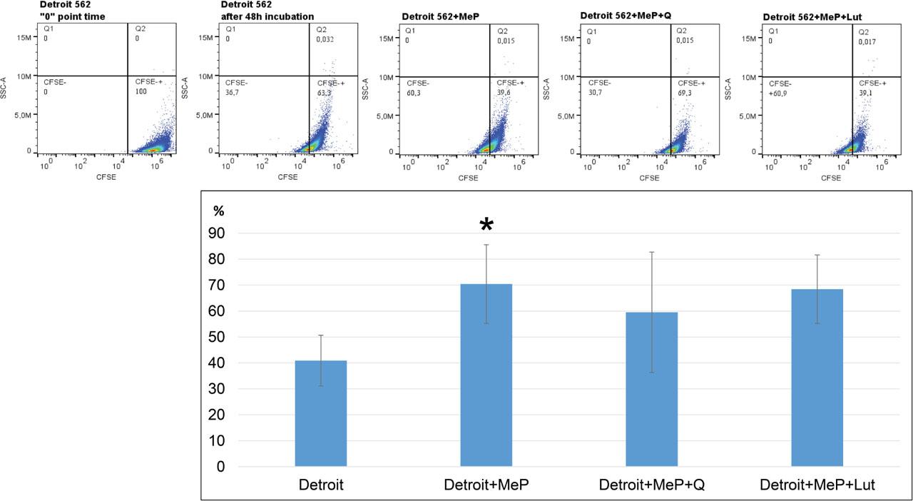 Percentage of proliferating Detroit 562 cells. Cytometric analysis of the percentage of proliferating Detroit 562 cells after 48-h incubation with MeP and MeP + Q and MeP + Lut. Error bars represent the SD (±SD) of the mean values from two independent experiments per each line. *Difference with cells untreated with MeP (p < 0.05). MeP, Methylparaben; SD, standard deviation.