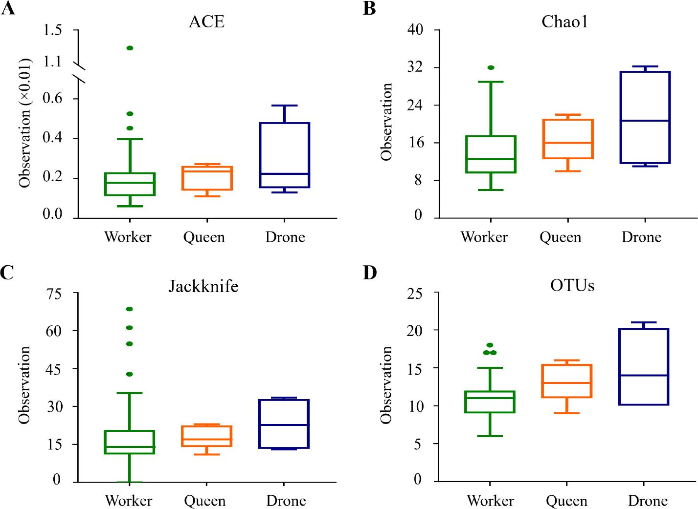 Box plots of species richness indices among honey bee groups.
Species richness was analyzed using A) Ace, B) Chao1, C) Jackknife indices, D) OTUs (Operational Taxonomic Units) counts. The bars represent the median values, while the hinges indicate the lower and upper quartiles. No statistically significant differences were observed among the three bee castes.
