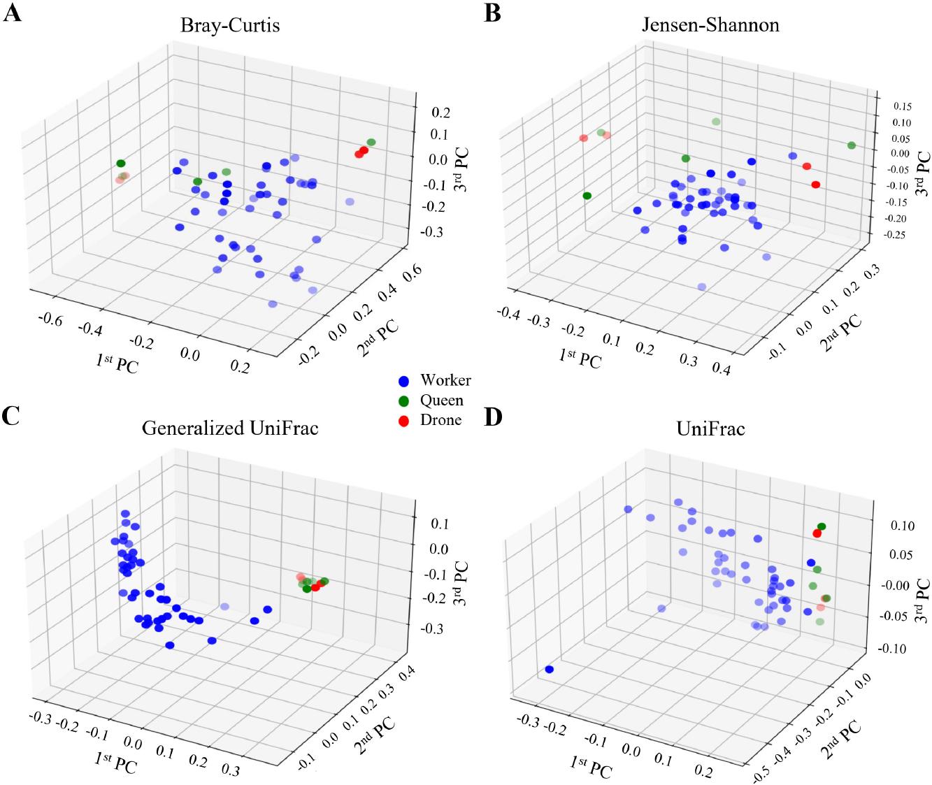 Principal coordinate analysis (PCoA) of the gut microbiome across bee castes.
PCoA was conducted using four distance metrics to investigate the microbial community structure among bee castes: A) Bray–Curtis, B) Jensen–Shannon divergence, C) Generalized UniFrac, D) UniFrac. The results are visualized in 3D plots, with blue, green, and red circles representing the worker, queen, and drone bee groups, respectively. The scatter of points illustrates the dissimilarities in microbial community composition among the castes. The analysis reveals that the microbial communities of worker bees are distinct from those of queen and drone bees.