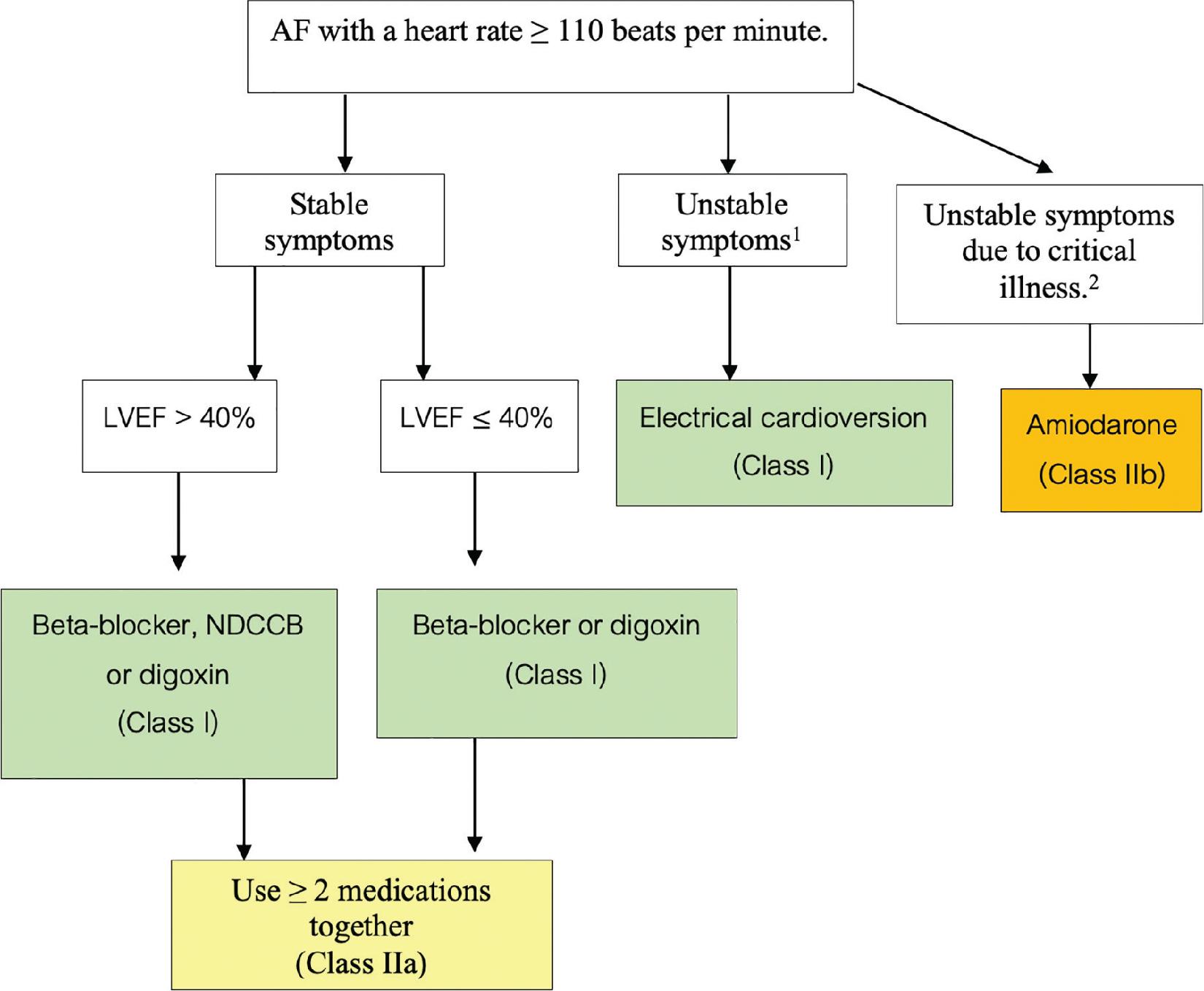Management guideline for AF patients using rate control. 1Unstable symptoms refer to conditions, such as shock, acute HF, severe chest pain associated with ACS, or respiratory failure. 2Critical illness refers to conditions, such as sepsis, septic shock, or respiratory failure from lung disease. ACS, acute coronary syndromes; AF, atrial fibrillation; HF, heart failure; LVEF, left ventricular ejection fraction; NDCCB, non-dihydropyridine calcium-channel blocker.