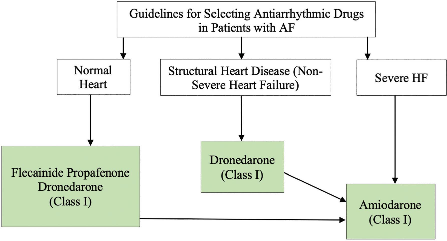 Selection of long-term antiarrhythmic drugs in patients with AF. AF, atrial fibrillation; HF, heart failure‥