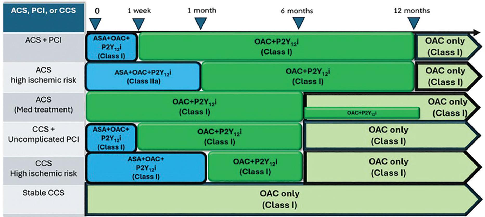 Administration of antithrombotic drugs in patients with AF who have ACS or CCS. ACS, acute coronary syndromes; AF, atrial fibrillation; ASA, aspirin; CCS, chronic coronary syndromes; OAC, oral anticoagulant; PCI, percutaneous coronary intervention; P2Y12i, P2Y12-receptor inhibitor.