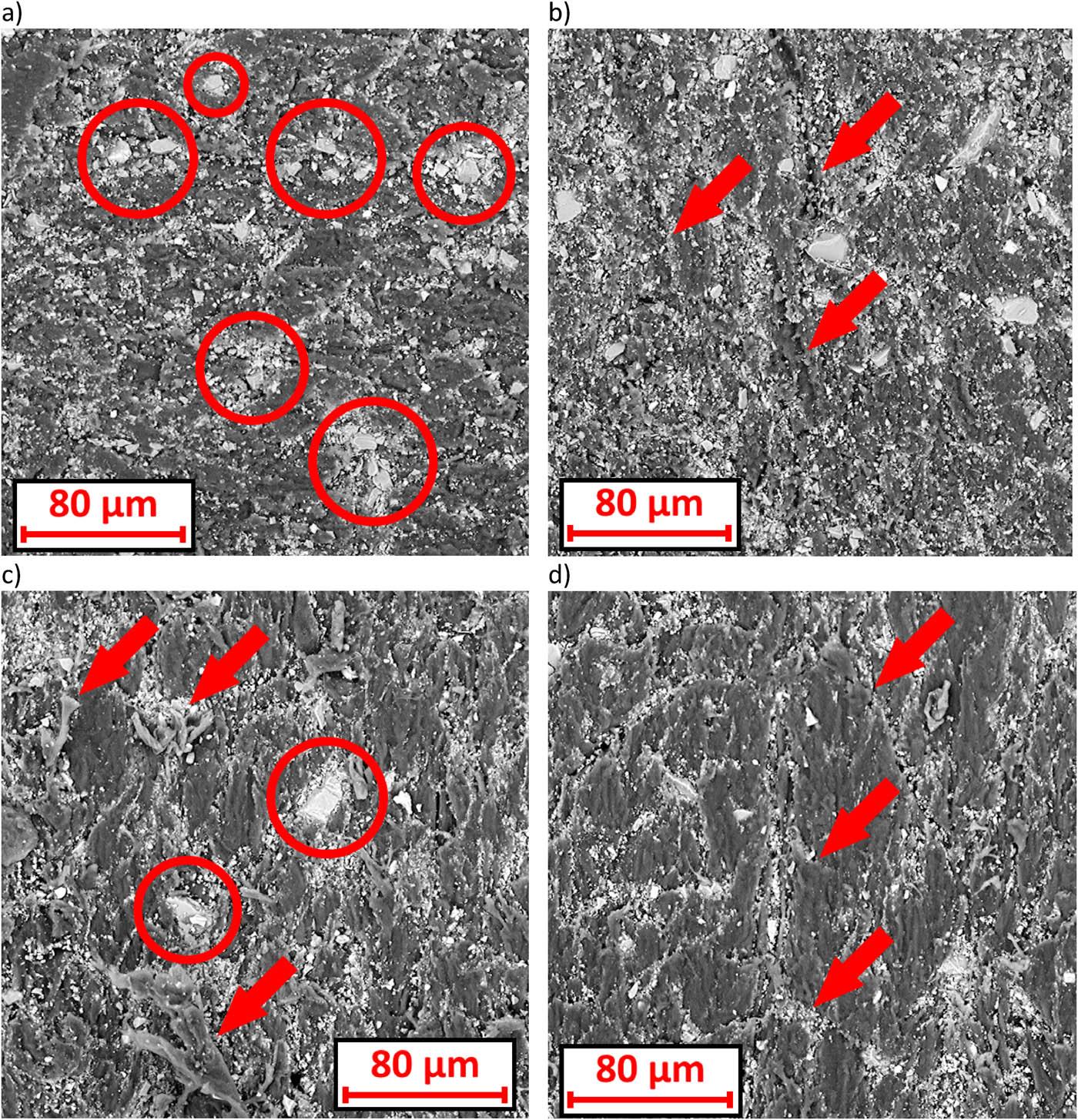 Wear scar at 1,000× magnification: (a) electrocorundum grains pressed into the PLA surface (selected clusters of grains are marked with circles); (b) scratches on the PLA surface (marked with arrows); (c) electrocorundum grains pressed into the PA6 surface (marked with circles) and “shreds” (marked with arrows); and (d) “creases, indentations, waves” on the PA6 surface (marked with arrows).
