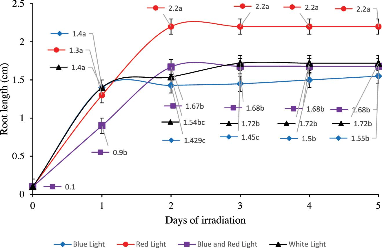 Effects of different light wavelengths on root length accumulation (cm) of germinated barley after treated by different light wavelength for 5 days. Different letter denoted by small letter indicate significant difference of root length among light treatment in the same irradiation day (p < 0.05).