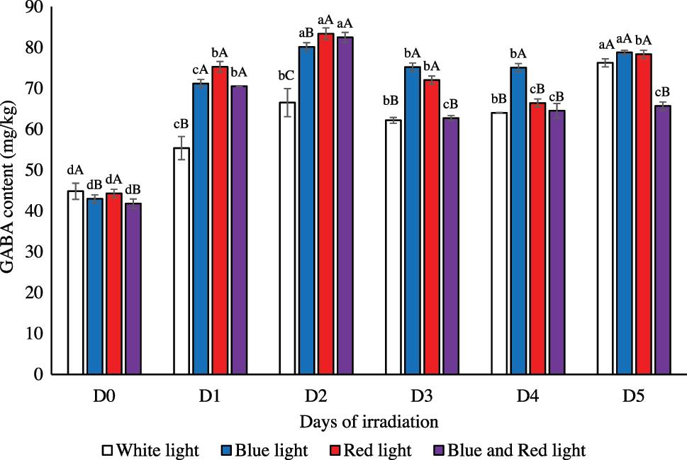GABA content in germinated barley during the germination period under different light wavelengths, expressed in mg/kg. Different letter denoted by small letter indicate significant difference of GABA content among germinated day (p < 0.05); the uppercase letters indicate significant difference of GABA content among different light treatment (p < 0.05).