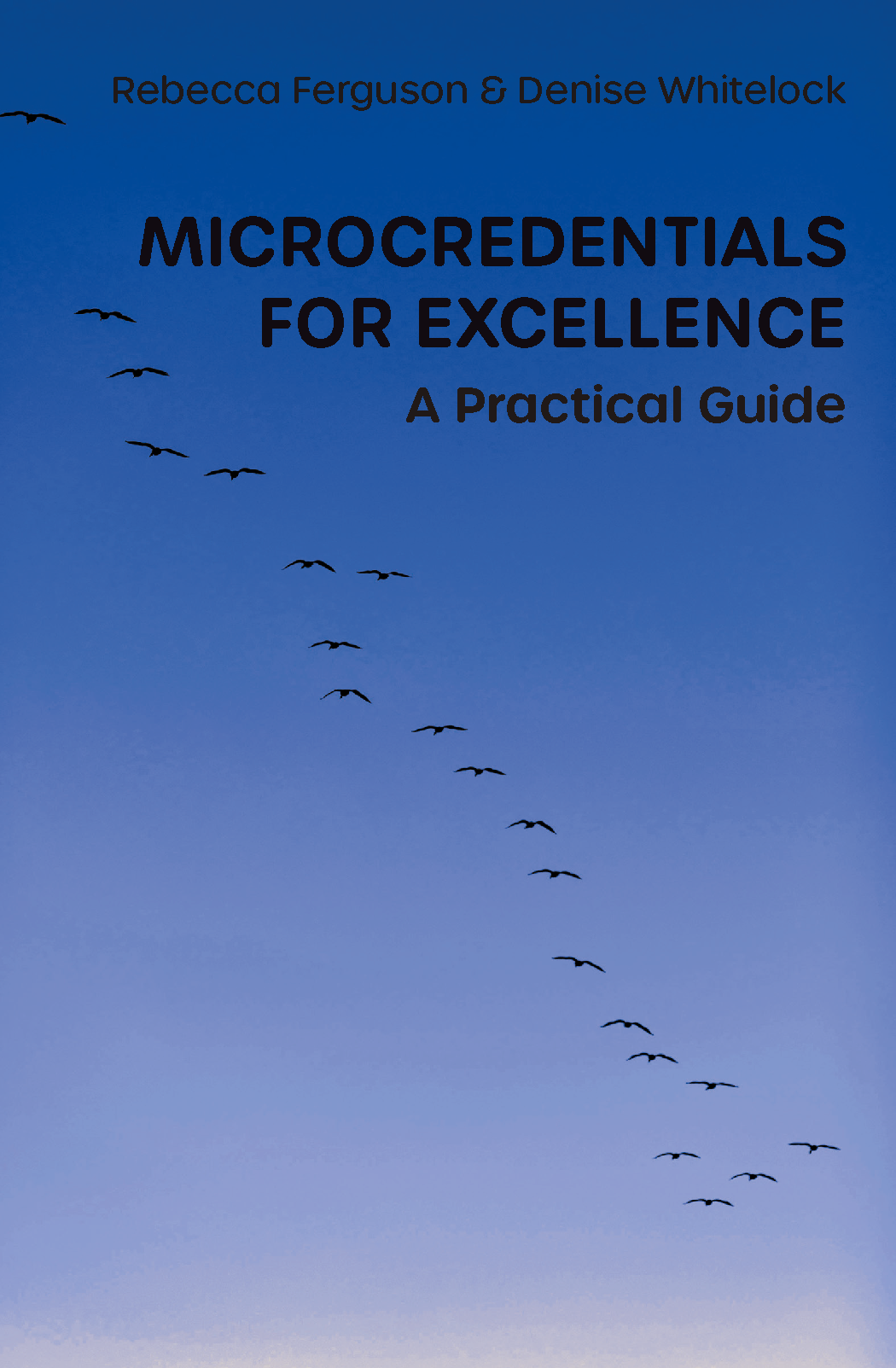 Microcredentials for Excellence