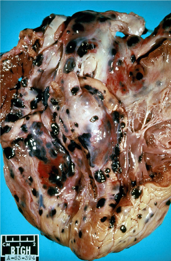 i1947-6094-13-4-254-f1001.jpg