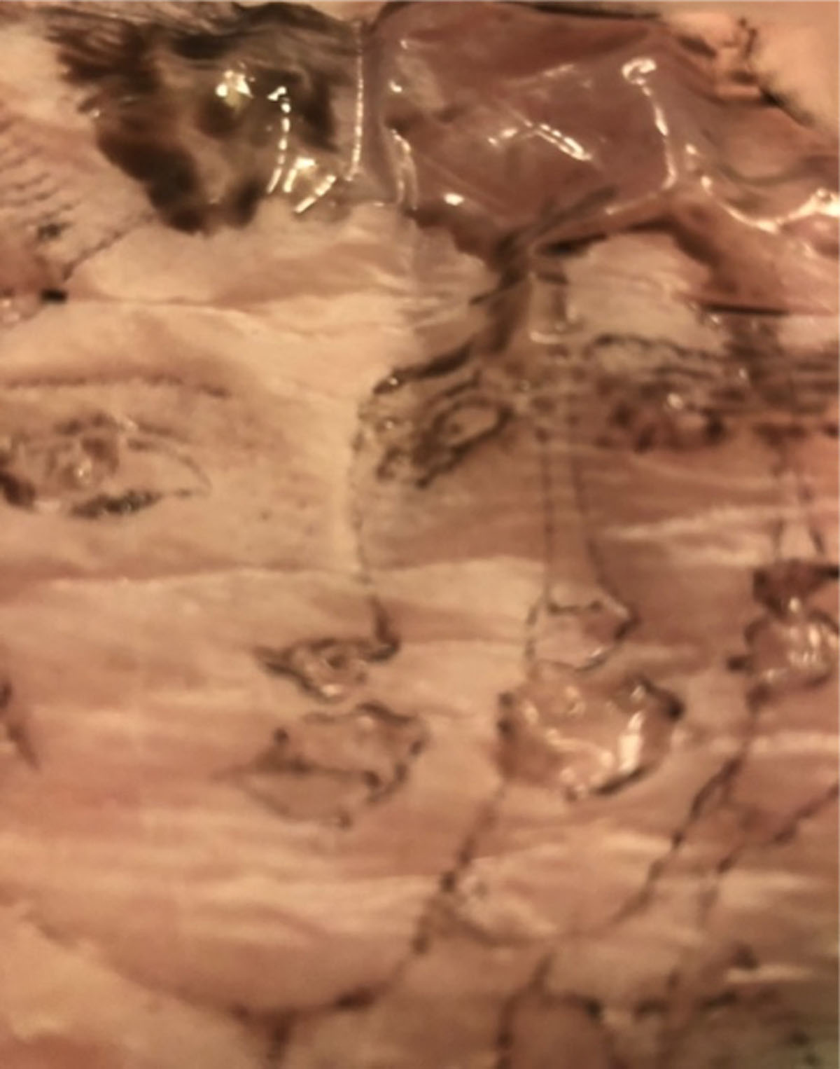 spectra-11-1-251-g1.jpg