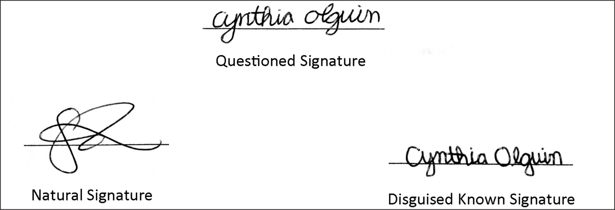 2014-V17-1-03-g3.png
