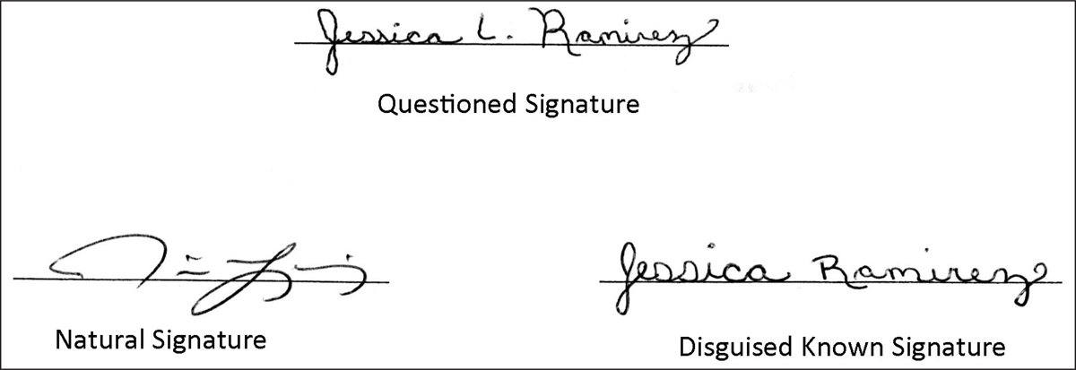2014-V17-1-03-g5.png