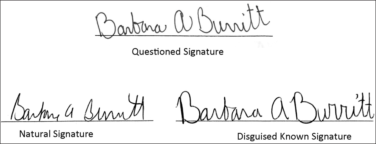 2014-V17-1-03-g6.png
