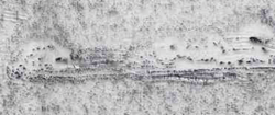 2014-V17-2-01-t5.png