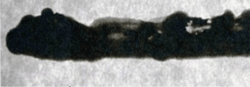 2014-V17-2-01-t7.png