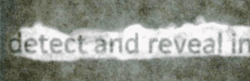 2014-V17-2-01-t8.png