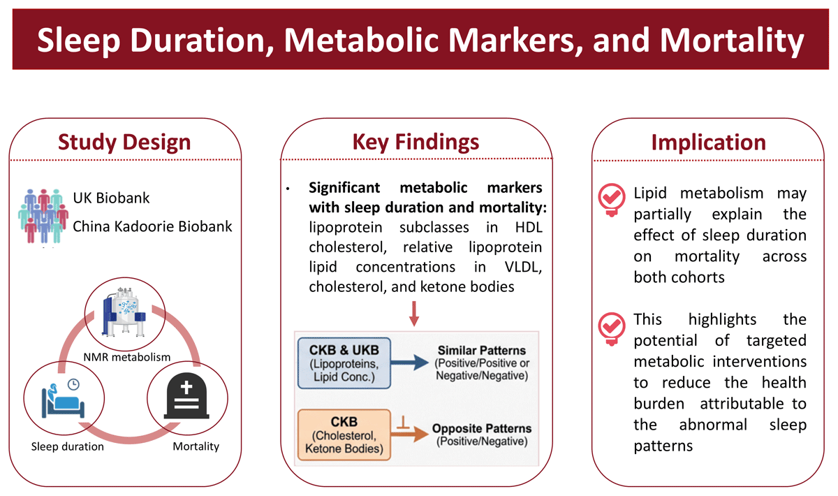 Graphical Abstract